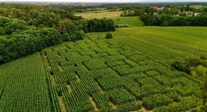 Dva labirinta se prostiru na 17, hhektara/Foto: Dalibor Turković (Euforija)