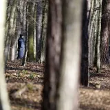 Policija traga za &scaron;umskim lopovima/ Foto: Željko Hajdinjak/Cropix (ilustracija)
