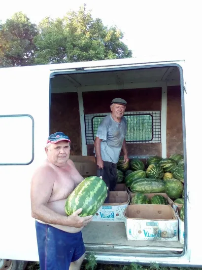 U Daruvaru kažu da nema slađih lubenica od onih iz Goveđeg Polja/Foto: Privatni album