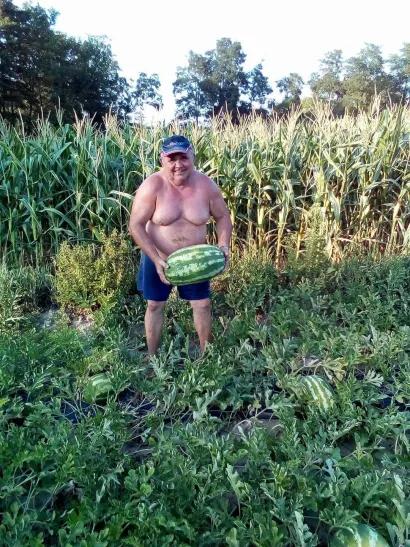 Djed Milorad u polju lubenica/Foto: Privatni album