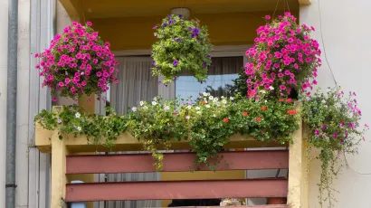 Drugo mjesto balkon obitelj Vukoja/Foto: Grad Daruvar