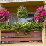 Drugo mjesto balkon obitelj Vukoja/Foto: Grad Daruvar