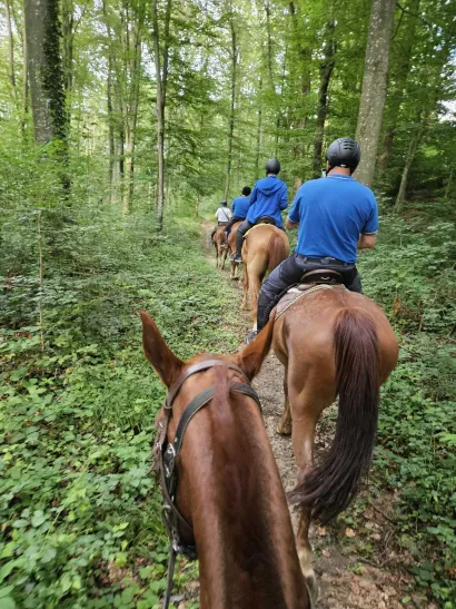 Na jednoj od bilogorskih turističkih konjičkih ruta/Foto: Privatni album