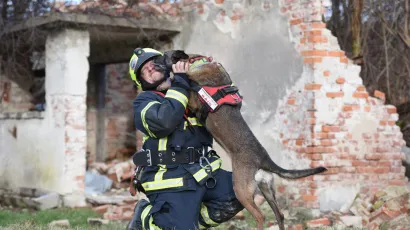 Foto: Jure Miskovic/CROPIX 