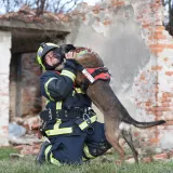 Foto: Jure Miskovic/CROPIX 