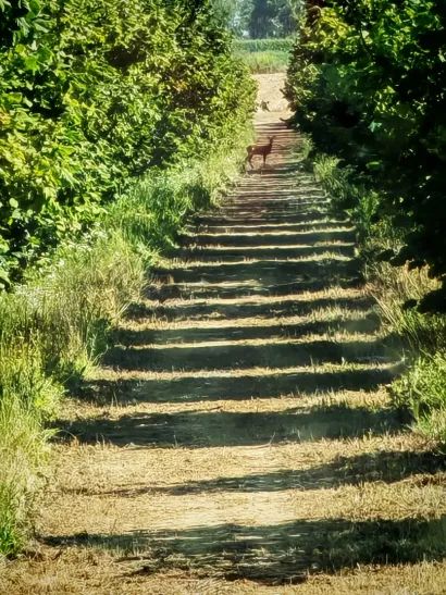 Idilični prizori na imanju/Foto: Privatni album