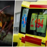 Foto: Niksa Stipaničev/CROPIX (Ilustracija), Pexels