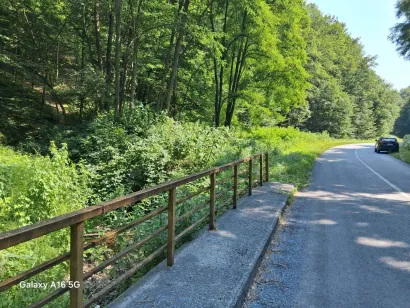 Foto: Udruga Lipa Gare&scaron;nica