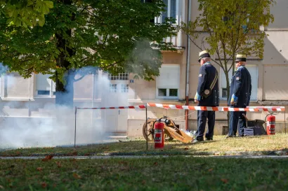 Foto: Predrag Uskoković/Grad Daruvar