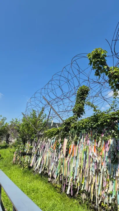 Demilitarizrana zona između Sjeverne i Južne Koreje/Foto: Privatni album