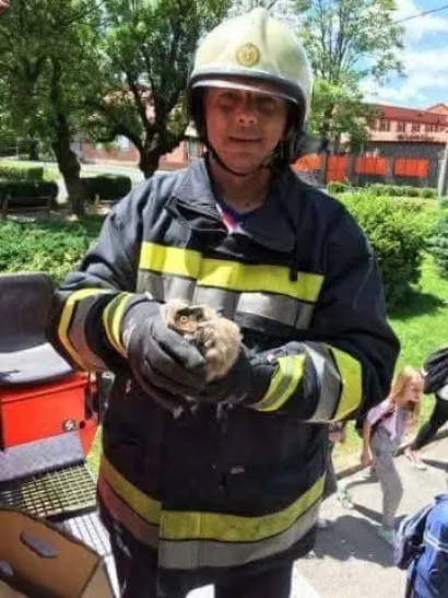 Jedna od mnogobrojnih intervencija spa&scaron;avanja životinja/Foto: Privatni album