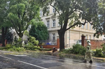 Foto: Slavica Trgovac Martan/MojPortal.hr
