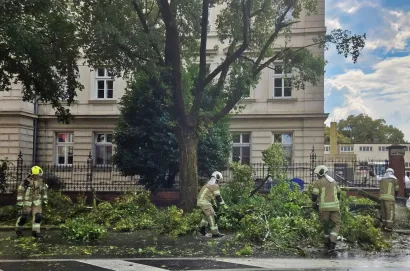 Foto: Slavica Trgovac Martan/MojPortal.hr