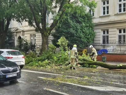 Foto: Slavica Trgovac Martan/MojPortal.hr