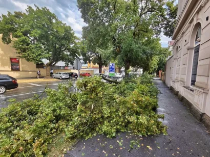 Foto: Slavica Trgovac Martan/MojPortal.hr
