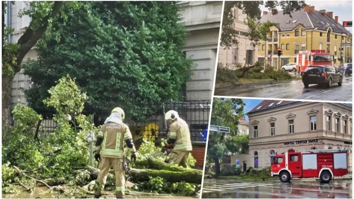 Foto: Slavica Trgovac Martan/MojPortal.hr