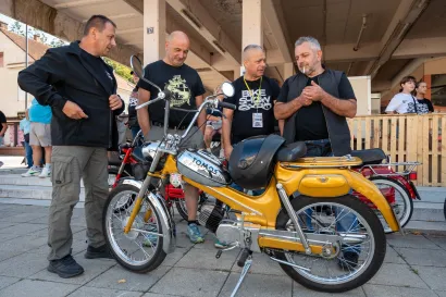Foto: Predrag Uskoković/Grad Daruvar