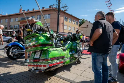 Foto: Predrag Uskoković/Grad Daruvar