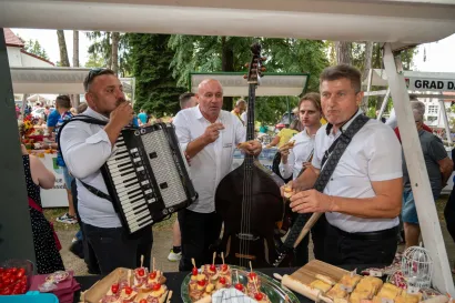 Foto: Predrag Uskoković/Grad Daruvar