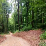 Foto: Slavica Trgovac Martan