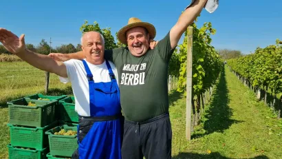 U vinogradu je uvijek veselo/Foto: Privatni album