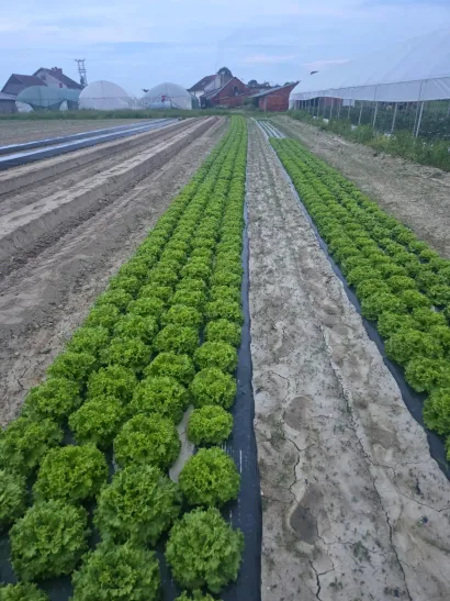 Foto: Privatni album