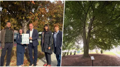 Foto: KruGare&scaron;nica, Grad Bjelovar