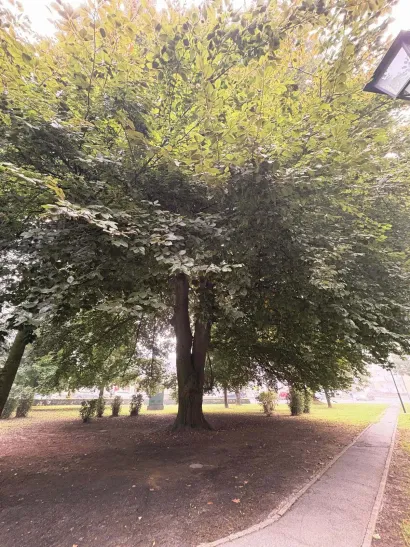 Foto: Grad Bjelovar