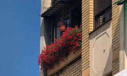 Balkon Melite Vocel osvojio je 2. nagradu/Foto: Predrag Uskoković