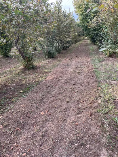Mladi Velikogrđevčanin radi i na obiteljskoj plantaži lje&scaron;njaka/Foto: Privatni album