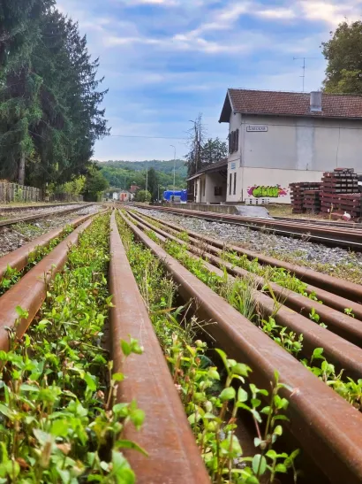 Foto: Tea Vesel&aacute;kov&aacute;/MojPortal.hr