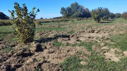 Foto: Slavica Trgovac Martan