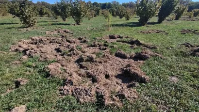 Foto: Slavica Trgovac Martan