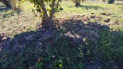 Foto: Slavica Trgovac Martan