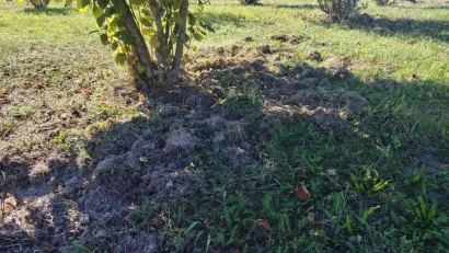 Foto: Slavica Trgovac Martan