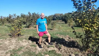 Cipri&scaron; se može pozdraviti s trećinom uroda/Foto: Slavica Trgovac Martan
