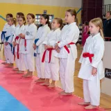 Foto: Predrag Uskoković/Grad Daruvar