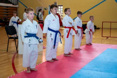 Foto: Predrag Uskoković/Grad Daruvar