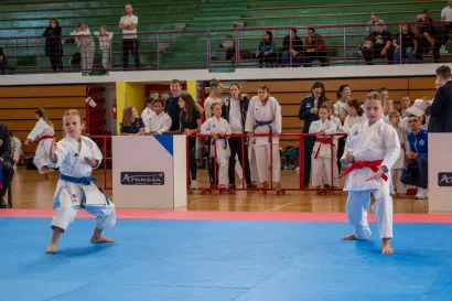 Foto: Predrag Uskoković/Grad Daruvar