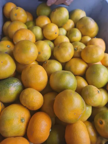 Mno&scaron;tvo vitamina kriju ove bombice/Foto: Gradska tržnica Daruvar