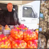 Foto: Gradska tržnica Daruvar