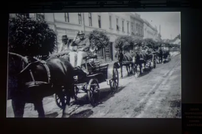Foto: Predrag Uskoković/Grad Daruvar