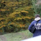 Policija traga za &scaron;umskim lopovima/Foto: PU bjelovarsko-bilogorska (ilustracija)