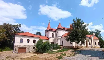 Dvorac Dio&scaron; promijenio je nekoliko vlasnika/Foto: Stipe Bo&scaron;čić/TZ BBŽ