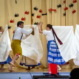 Veselo se obilježava kraj sezone radova u polju/Foto: Goldy