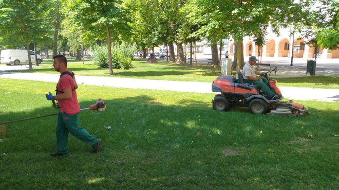 Još uvijek se ne zna tko će kositi travu na javnim površinama u Bjelovaru/Foto: Deni Marčinković