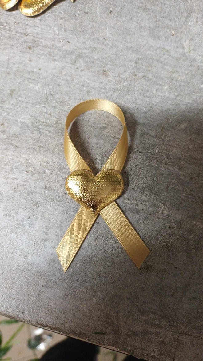 Trakice, simbol borbe protiv leukemije, nosile su se za Evu/ Foto: Privatni album