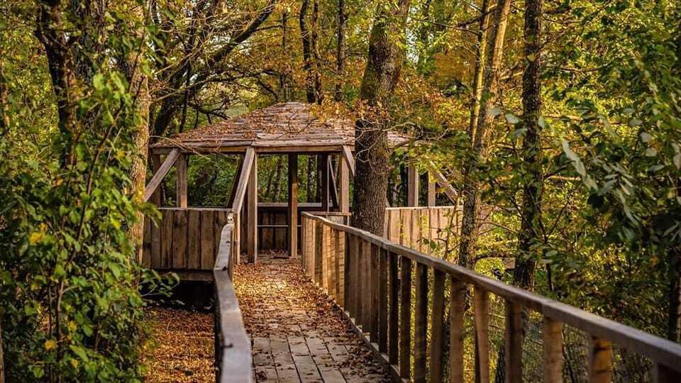 Fotografija: Staza kroz prekrasnu drvenu šetnicu/ Foto: Run Čazma