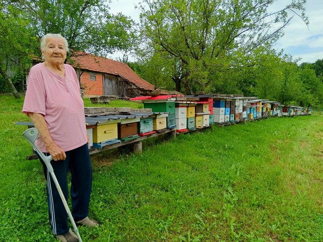 Vrijedna pčelarka svaki dan odlazi do pčelinjaka/Foto: Slavica Trgovac Martan