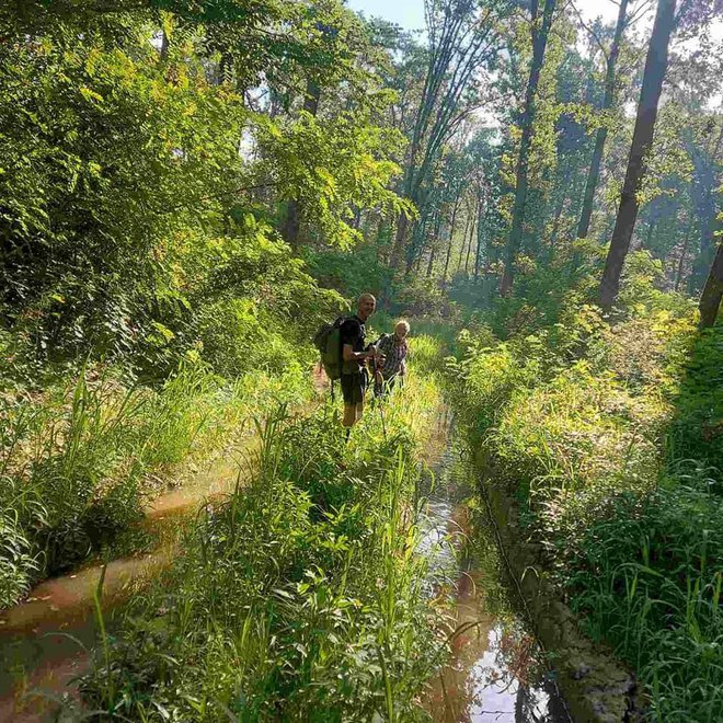 U slavonskoj divljini/Foto: Planinarsko društvo Petrov vrh